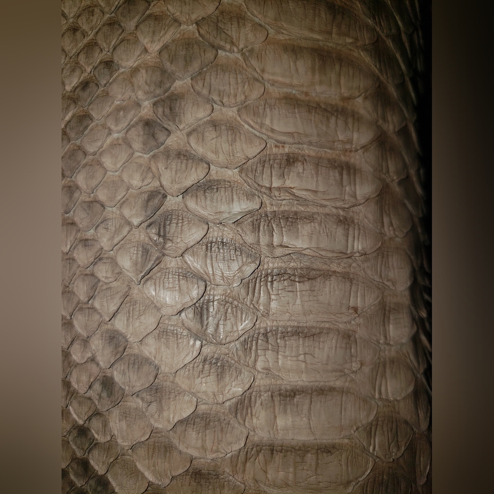 John Anthony genuine python snakeskin reptile neu… - image 1